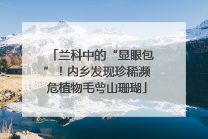 兰科中的“显眼包”！内乡发现珍稀濒危植物毛萼山珊瑚